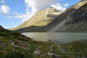 81 Mucche al pascolo in riva al lago glaciale